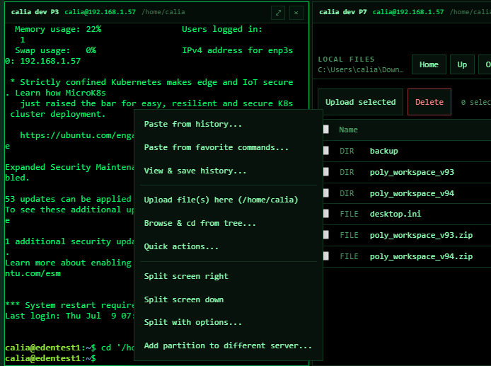 Panel context menu